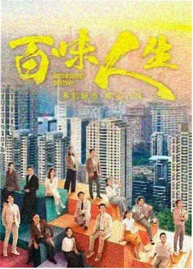 乱码家庭 电视剧海报